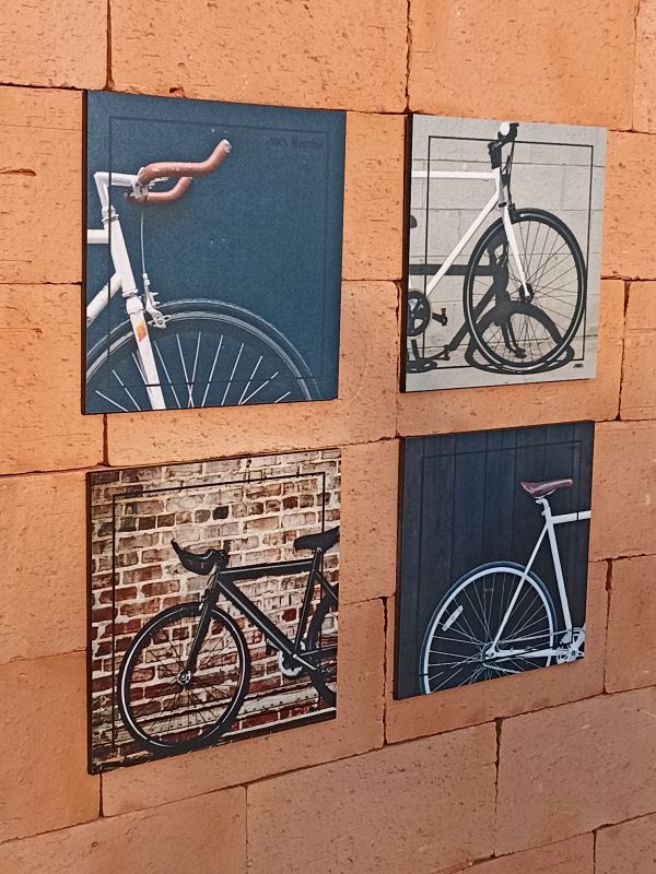 Quadros Bike