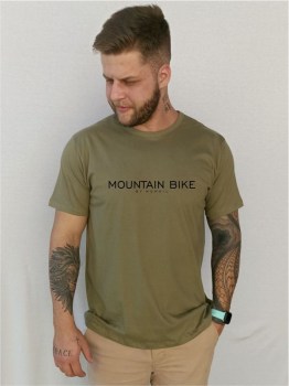 bike_421